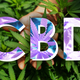 Image for article titled The Best CBD Sales Happening Right Now for CBD Day 2022